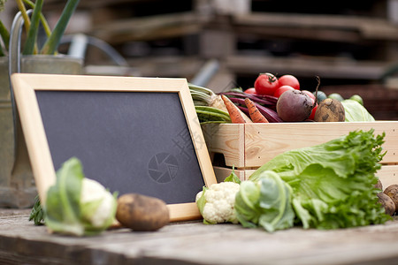 收获,食物农业蔬菜与黑板农场农场用黑板蔬菜图片