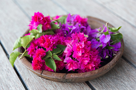 园艺,装饰,花卉植物美丽的紫色异国花卉木碗木碗里美丽的奇花图片