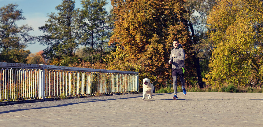 健身,运动,人,宠物生活方式的快乐的人与拉布拉多猎犬户外跑步带着拉布拉多狗户外跑步的快乐男人图片