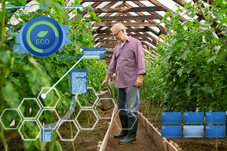 机农业,农业人的快乐的老人与浇水罐农场温室农场温室里浇水罐的老人图片