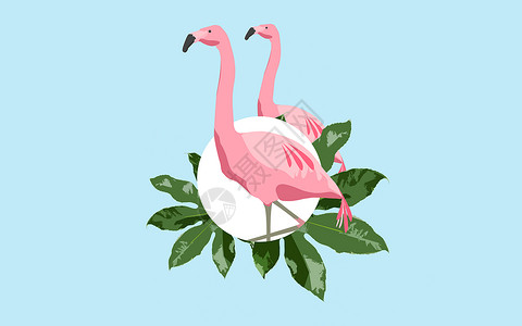 动物鸟类的粉红色火烈鸟蓝色背景与绿叶蓝色背景上的粉红色火烈鸟背景图片
