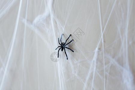 人造昆虫万节,装饰可怕的黑色玩具蜘蛛人造蜘蛛网万节装饰黑色玩具蜘蛛蛛网上背景