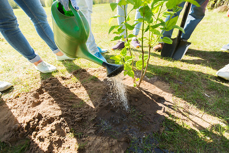 人与树的素材志愿服务慈善人与生态理念公园快乐志愿者种植浇灌树苗群志愿者公园植树背景