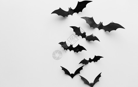 万节黑色蝙蝠装饰图片