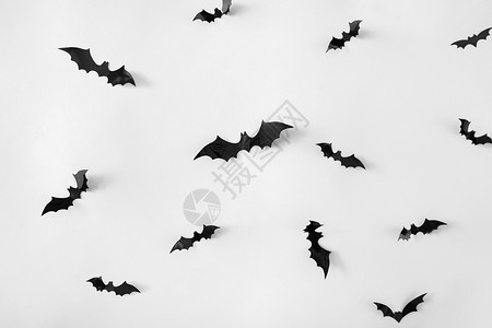万节,装饰可怕的黑色蝙蝠飞过白色背景万节装饰蝙蝠白色背景图片