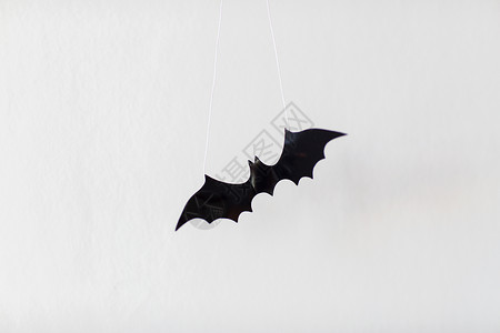 蝙蝠飞万节,装饰可怕的黑色飞行蝙蝠挂白色背景上的字符串万节装饰蝙蝠白色背景背景