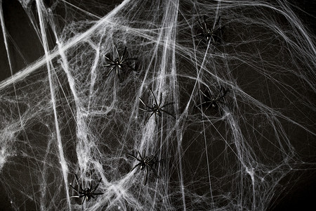 黑色网万节,装饰人工蛛网上的黑色玩具蜘蛛万节装饰黑色玩具蜘蛛网上背景
