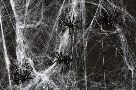 人造昆虫万节,装饰人工蛛网上的黑色玩具蜘蛛万节装饰黑色玩具蜘蛛网上背景