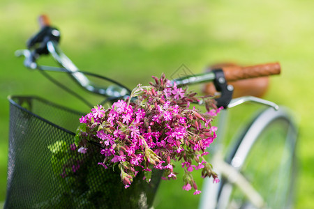 休闲夏季固定自行车与花篮户外固定自行车与花篮子里背景图片