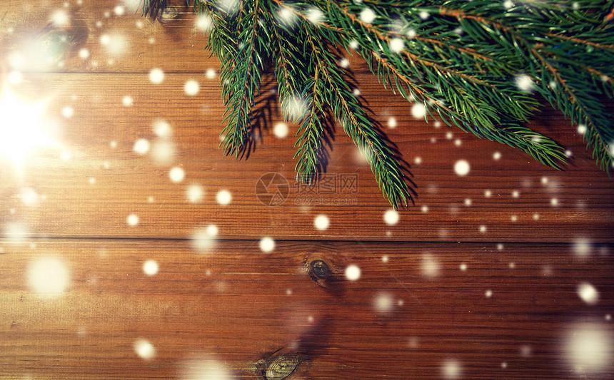 诞节,装饰,假日广告自然冷杉树枝空白棕色木板天然绿色杉木枝条空白木板上图片