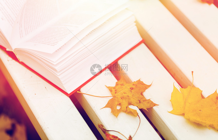 季节,教育文学开放的书秋天的树叶公园长凳上公园的长凳上打开书秋叶图片