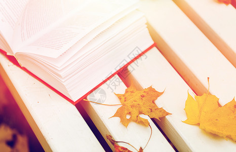 季节,教育文学开放的书秋天的树叶公园长凳上公园的长凳上打开书秋叶图片