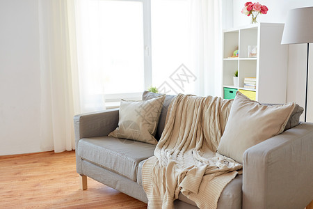 标准灯垫子舒适,家具室内沙发与垫子舒适的家庭客厅沙发垫子舒适的家庭客厅背景