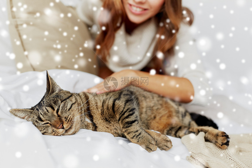 宠物,舒适,休息人的猫躺床上的雪猫躺家里的床上图片