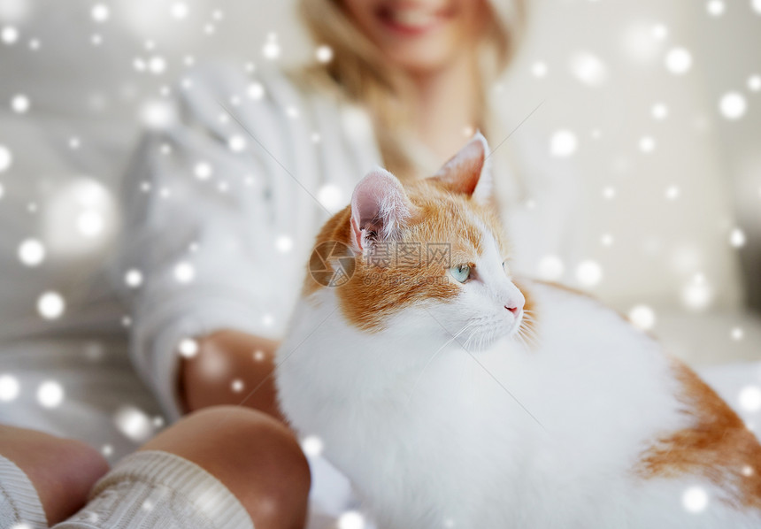 宠物,动物人的快乐的轻女人猫家里的雪上睡觉快乐的轻女人猫床上家图片