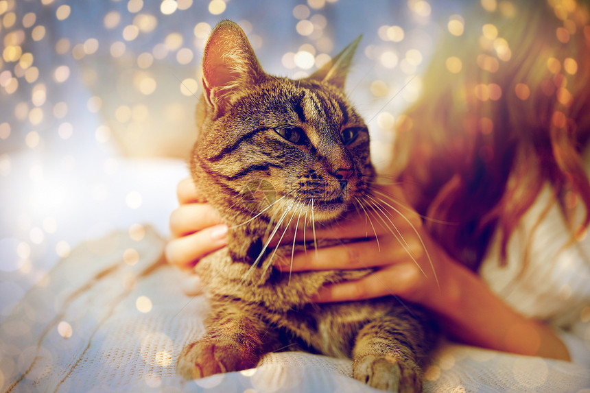 宠物,舒适,休息人的轻的女人带着猫家里睡觉轻的女人带着猫躺家里的床上图片