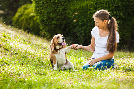 女孩比格犬坐草地上女孩只狗玩图片