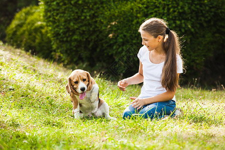 女孩比格犬坐草地上女孩只狗玩图片