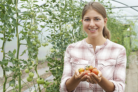 女农业工人温室检查番茄植株图片