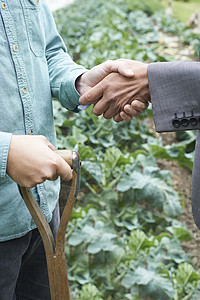 农民商人握手背景图片