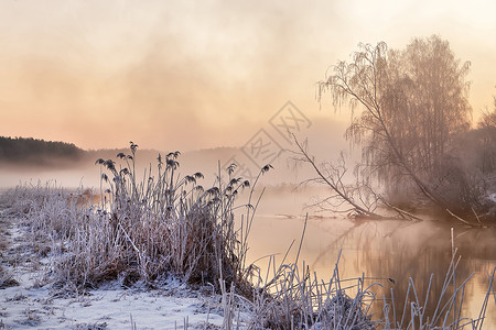 冬天朦胧的早晨河上白俄罗斯的乡村雾霭霜冻的景象图片