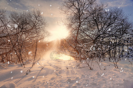 太阳雪花阳光明媚的冬天早晨条河上,白俄罗斯图片
