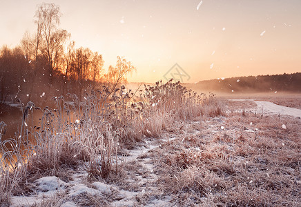 冬天朦胧的黎明河上雪花,降雪阳光明媚的冬天早晨农村雾状霜冻的场景图片