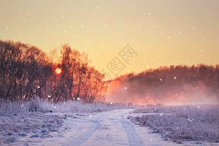 冬天雾蒙蒙的日出白俄罗斯的乡村雾霭霜冻的景象图片