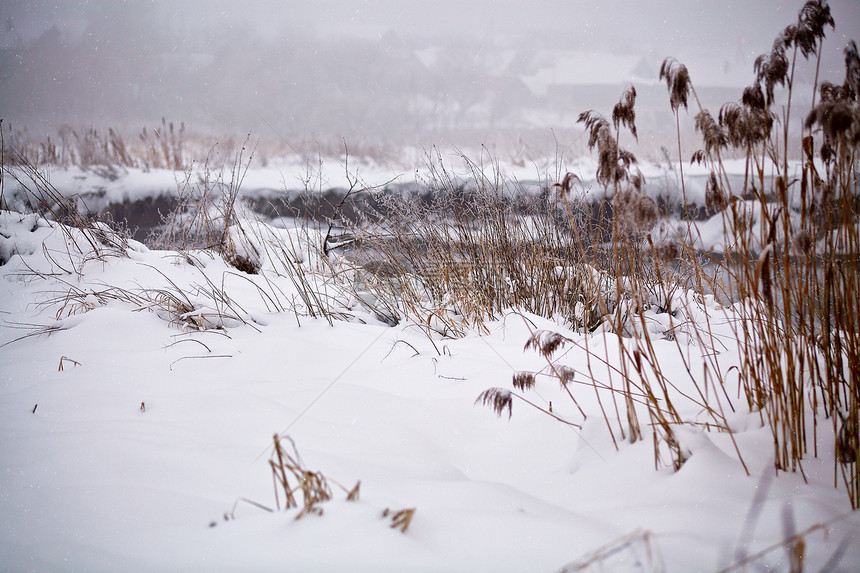 雪霜甘蔗草地上,条冻结的薄雾河流上多云的下雪天气图片