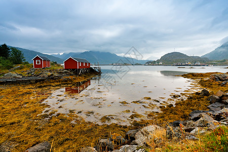 挪威赫鲁布湾海岸北欧多云的夏日洛芬挪威群岛高清图片