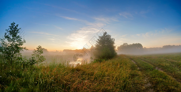夏天的薄雾日出河上早上雾的河朦胧的早晨全景图片