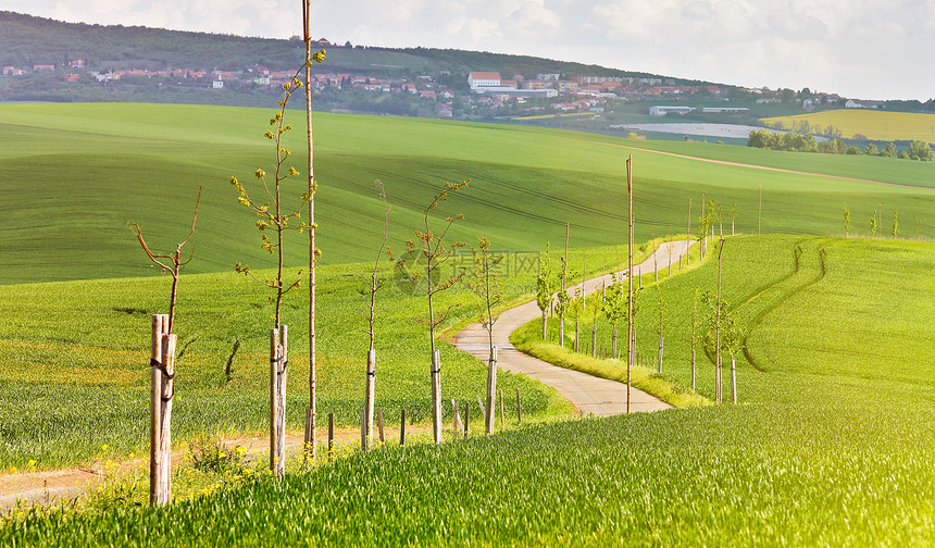 绿色的春天农田里的路捷克共国南莫拉维亚阳光明媚的乡村春天景观乡村道路附近的小树图片