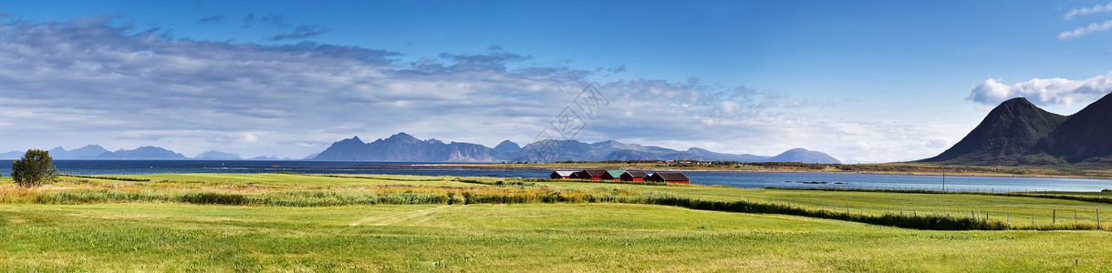 挪威风景阳光明媚的夏季全景,峡湾山脉的背景图片