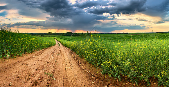 绿色科尔扎田野的土路背景上的春雨暴风雨云春天的田野全景背景图片