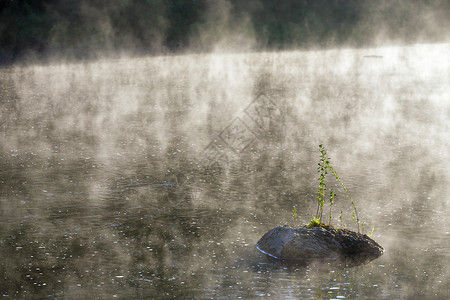 早晨的石头,雾蒙蒙的阳光河沸腾的效果,雾蒙蒙的日出图片