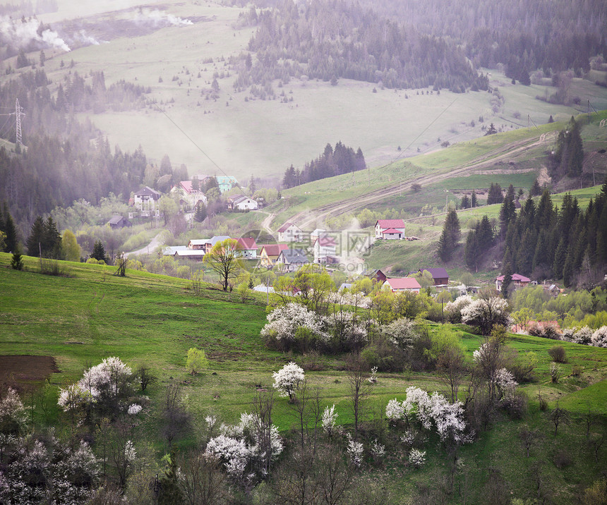 山中的春天果园山上盛开个小村庄附近的片绿色草地上开花的树木高山草地新鲜的绿色明亮的颜色图片