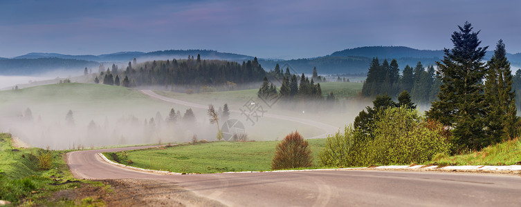 自由蜿蜒的山路全景绿色诞树的山蛇纹美丽的薄雾早晨旅游背景图片