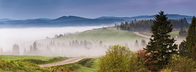 早上空沥青路全景美丽的夏季山路山脉蛇纹石美丽的薄雾早晨旅游背景图片