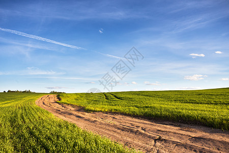 绿色麦田的泥土乡村道路夏天的风景青草蓝天下通往地平线的道路图片
