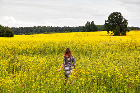 轻的美女个开花的油菜籽地里走回相机盛开的科尔扎田夏天的农业图片