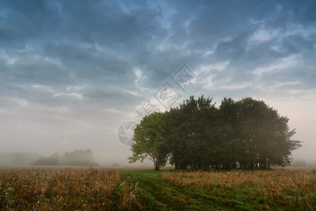 乌云密布的天空多云的秋雾早晨秋天的景象片长满橡树的草地上图片