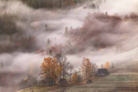 山村雾云中,秋天的早晨山上的农场森林里的薄雾高清图片