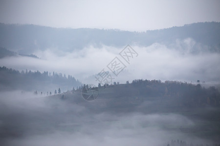 秋天的雨薄雾山上晨雾笼罩着山丘森林山顶周围浓雾秋天的背景图片
