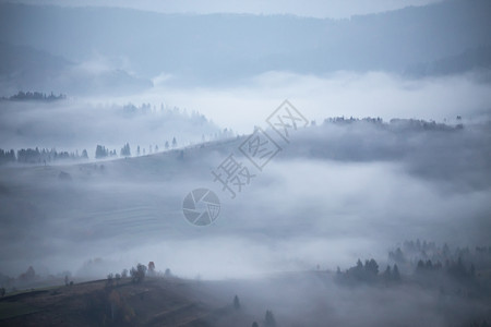 秋天的雨薄雾山上晨雾笼罩着山丘森林山顶周围浓雾秋天的背景图片