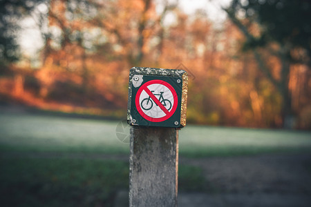 禁止掉头路标自行车限制标志公园秋天,允许骑自行车背景
