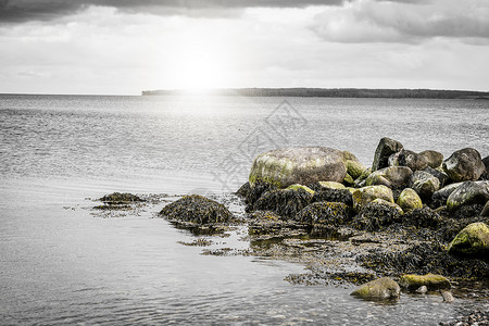 海边的岩石阳光下被海滩覆盖着海藻图片
