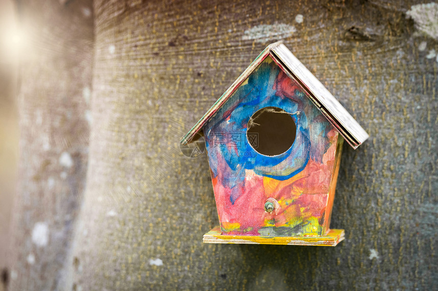 五颜六色的鸟屋,孩子气的颜色挂春天花园里的树上图片