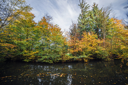 秋天的风景与五颜六色的树木秋天的条黑暗的河流与秋天的树叶水中背景图片