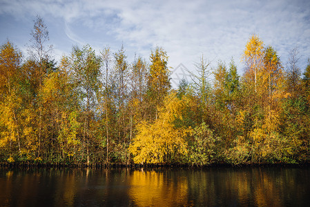 秋天的树木秋天的河边,秋天的风景中,树水中反射图片