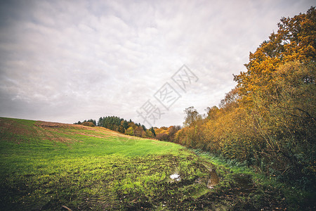 泥泞的田野,秋天的水坑,个农村的环境中,五颜六色的树木,金色的秋天的颜色图片